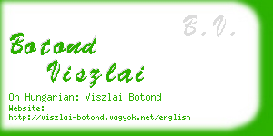 botond viszlai business card